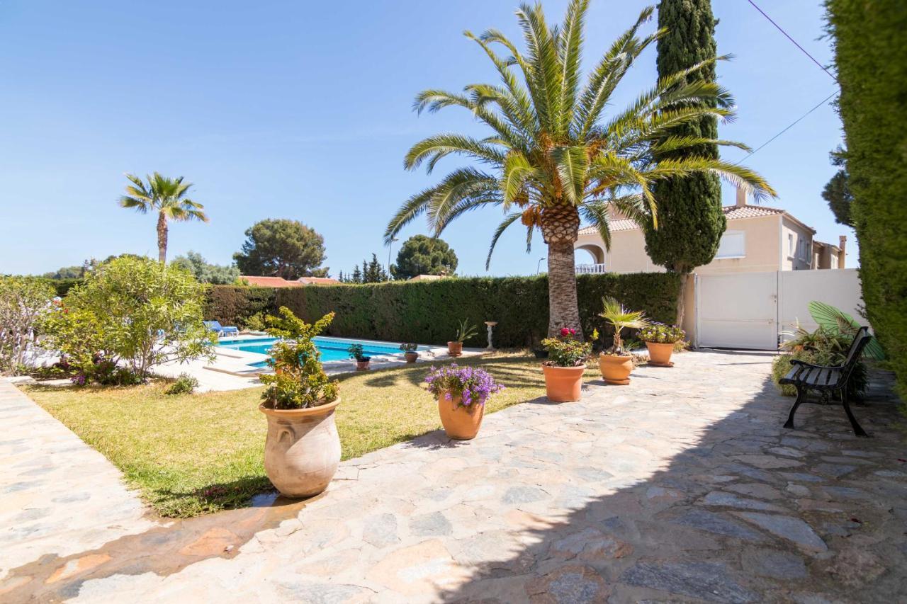Charming One-Floor Villa With Private Pool In Los Balcones 托雷维耶哈 外观 照片