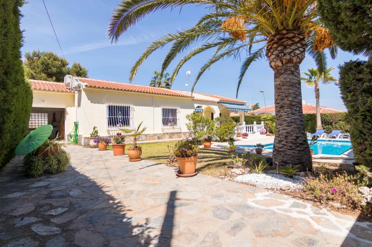 Charming One-Floor Villa With Private Pool In Los Balcones 托雷维耶哈 外观 照片